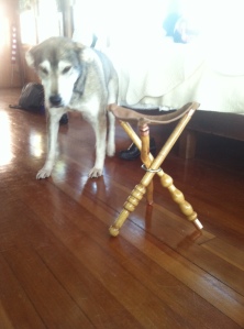 Note: Unfortunately, tripod stool does not triple as a dog bed. Harumph.